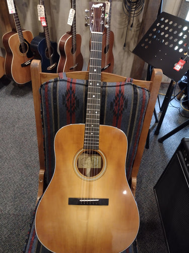 New (2023) Randy Wood Dreadnaught Guitar