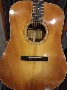 New (2023) Randy Wood Dreadnaught Guitar