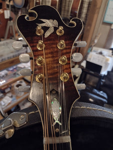 Silver Angel Distressed F-5