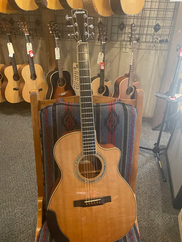 2001 Larrivee OMV-5