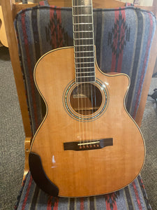 2001 Larrivee OMV-5