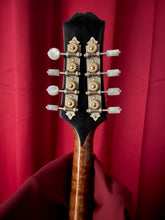 Brand New Randy Wood Deluxe 2-Point Mandolin