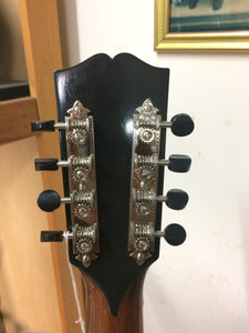 Gibson L4 Randy Wood Mandocello Conversion (1927)